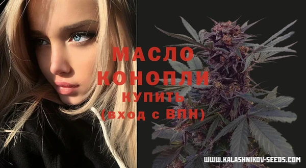 метадон Богданович